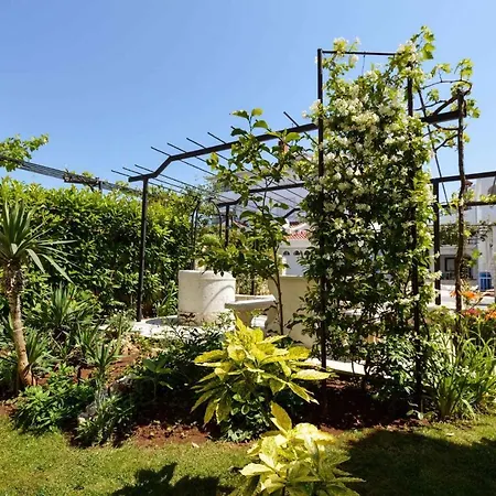 Apartment Apartment Silvia By Interhome Pula