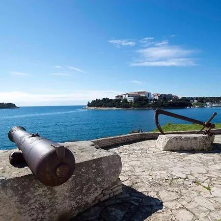 Silvia By Interhome Pola